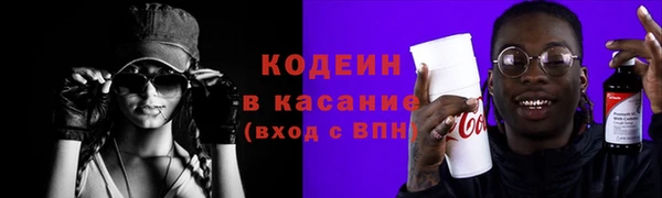 индика Вязники